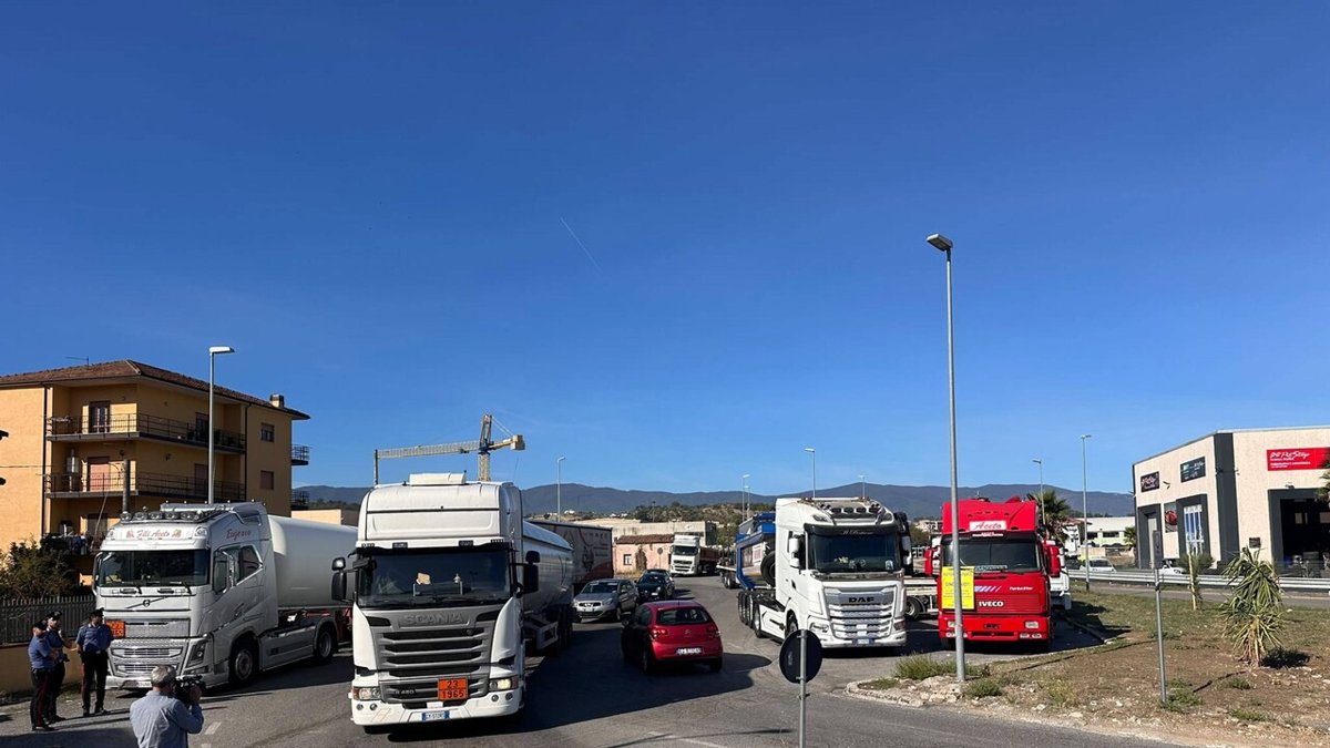 Autotrasporto, Fedralog 'primi passi ma stato di agitazione resta'